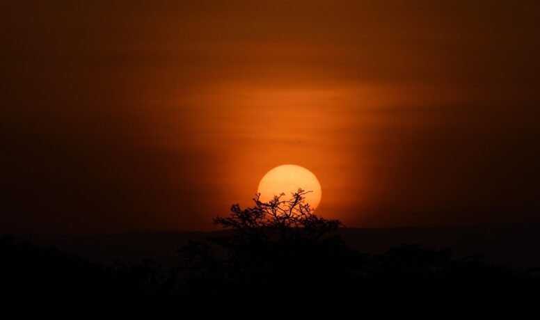 The Best Guide to Maasai Mara Safari: Kenya’s No.1 Jewel