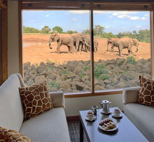 Amboseli & Kilimanjaro Views — 3 Days